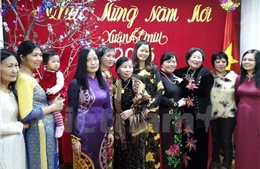 Cộng đồng người Việt tại nhiều nước  tưng bừng đón Tết Ất Mùi 
